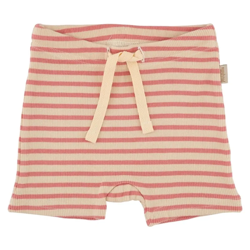 Handla nu Petit Piao Dark Peach/Cream Shorts Modal Striped