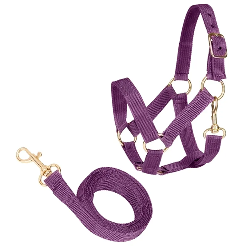 Cheval Roi Grimma och Grimskaft Amethyst Fynd