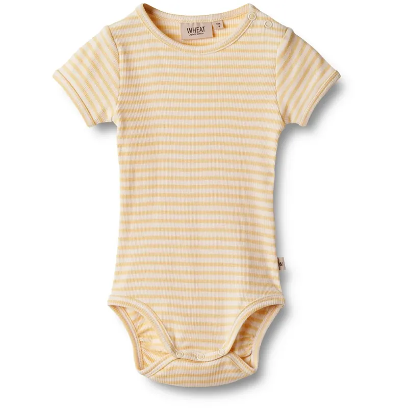 Outlet Wheat Apricot Stripe Body S/S Elisa