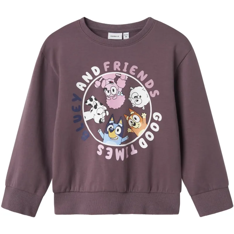 Begränsat antal Name It Arctic Dusk Nira Bluey Regular Sweatshirt