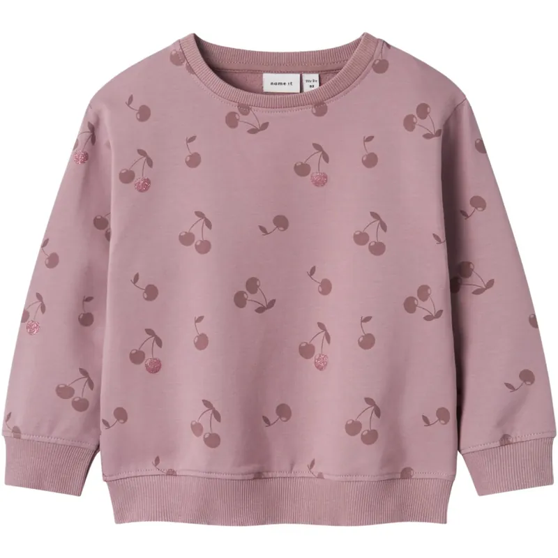 Bästa pris Name It Elderberry Bella Regular Sweatshirt