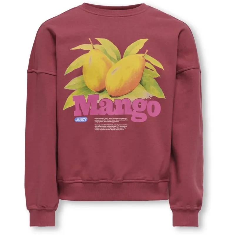 kids ONLY Earth Red Mango Philea Life Overzise Fruit O-neck Sweatshirt Expressleverans