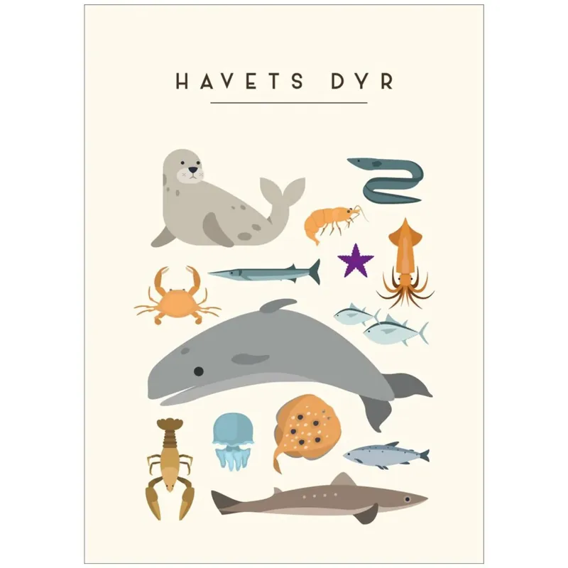 Poster & Frame Citatplakat - Havets Dyr – Børneplakat Nyhet