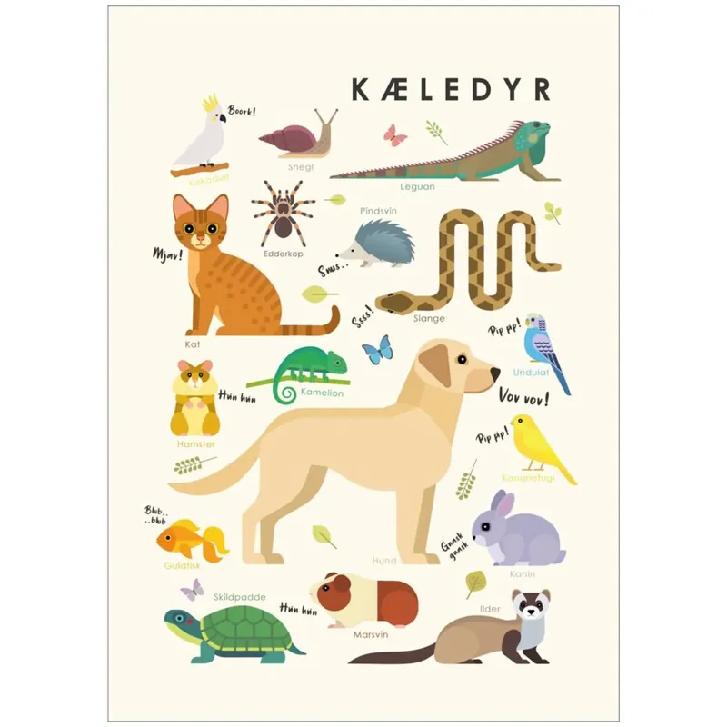 Poster & Frame Citatplakat - Kæledyr – Børneplakat Extra rabatt