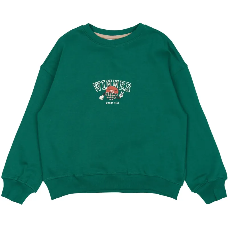 Populärt val The New Alpine Green Paul Oversize Sweatshirt