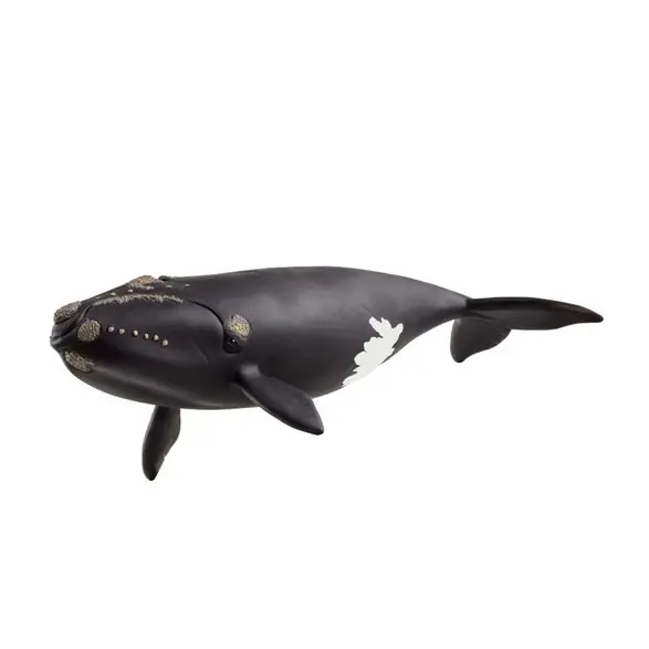 Extra rabatt Schleich Nordkapare