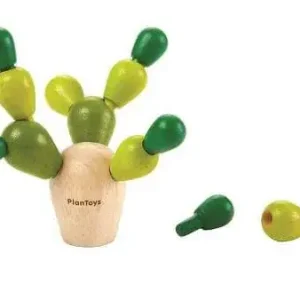 Balanskaktus mini Erbjudandepris