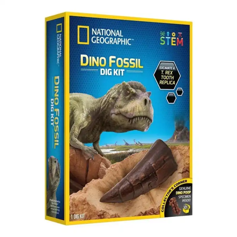 Billig Utgrävning av dinosauriefossiler