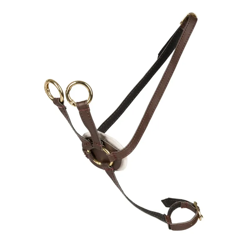 Cheval Roi-tillbehör - Martingal, Brun/guld Endast idag